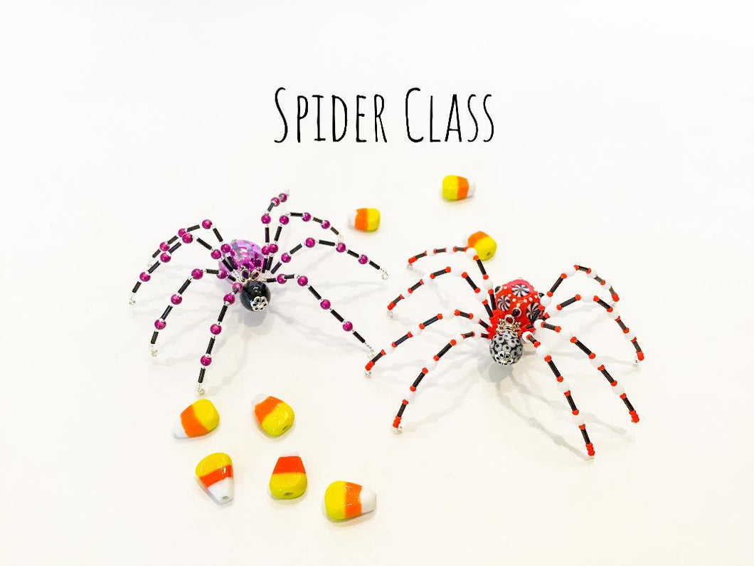 Spider Class, Saturday, September 27th, 11:30 - 1:30 pm